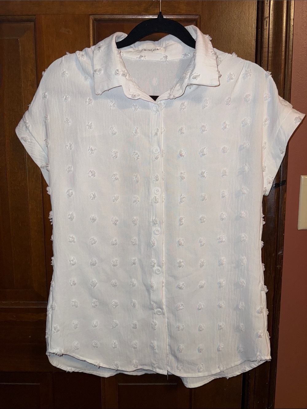 Bothenial White Embroidered Button-Front Shirt